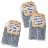 Novel Teas American Novel Classics tea bags